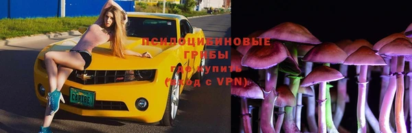 a pvp Новочеркасск